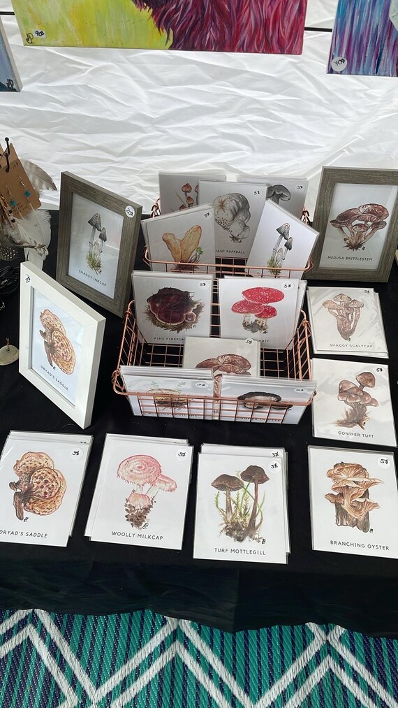 The Mushrooms by Elli Poitras