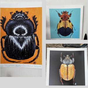 The Egyptian Beetles by Elli Poitras