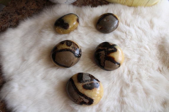 Septarian palmstones