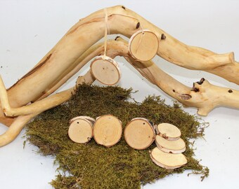 Birkenscheiben mit 4mm Loch / Holzscheiben Baumscheiben Astscheiben