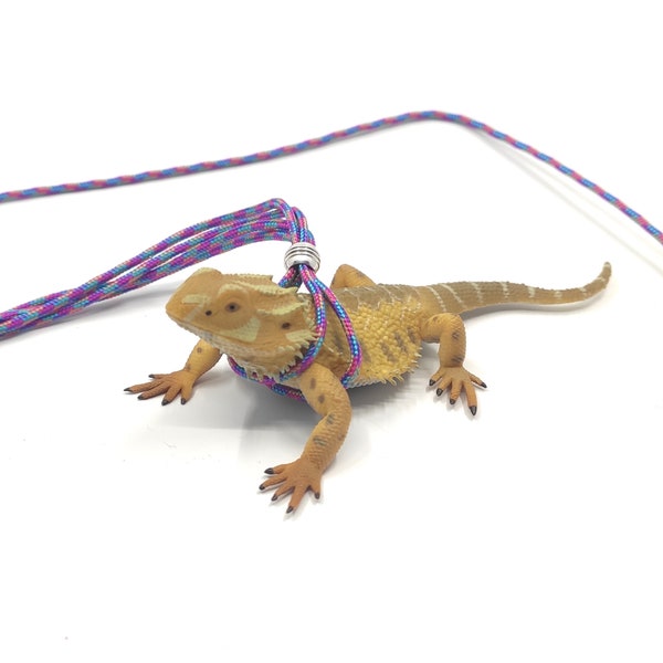 Bearded dragon leash, Reptile adjustable leash, Iguana leash, Reptile harness, Bearded dragon harness, Gecko leash, harness for lizard