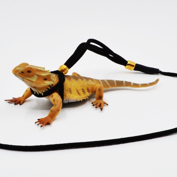 Etsy bearded dragon harness Clearance
