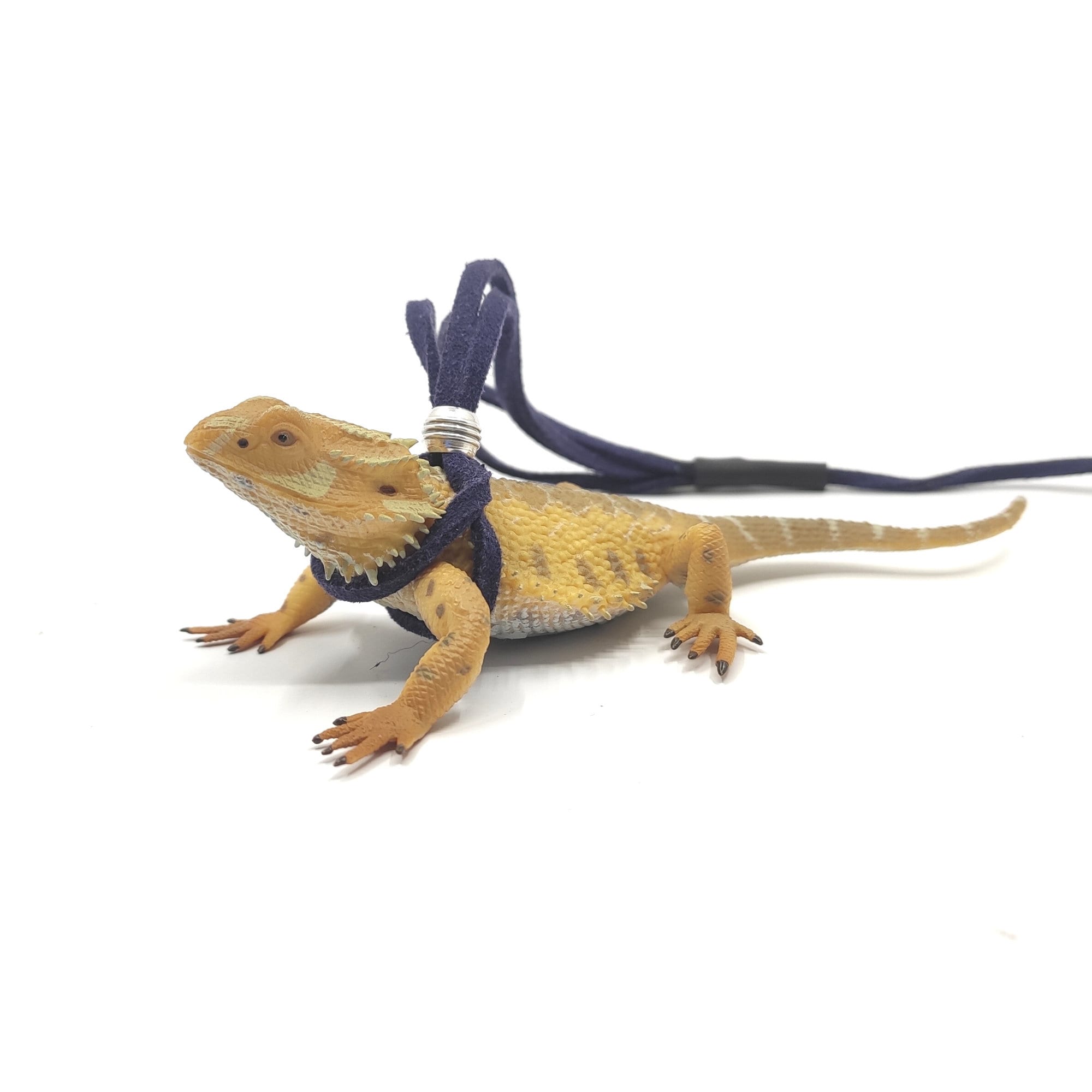Iguana on Roller Skates Dog Harness
