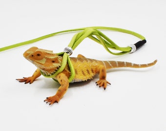 Bearded Dragon Leash Reptile Adjustable Leash Iguana Leash Reptile Harness Bearded Dragon Harness Gecko Leash Lizard Accessories Etsy Canada