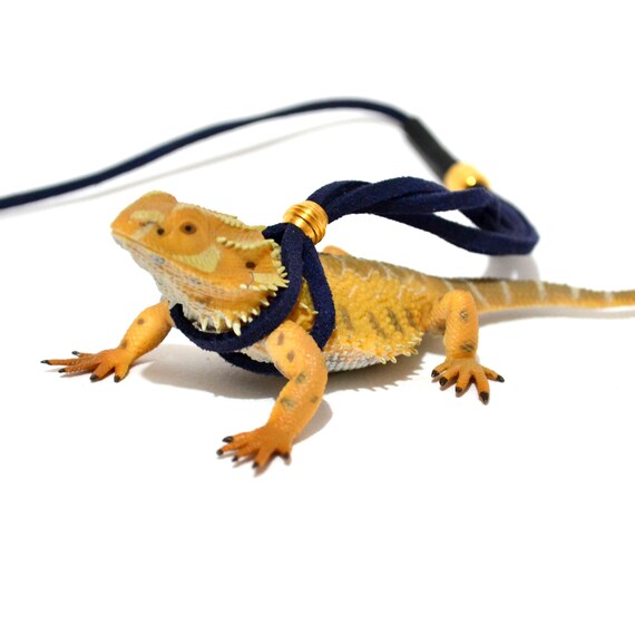 Etsy bearded dragon harness Clearance