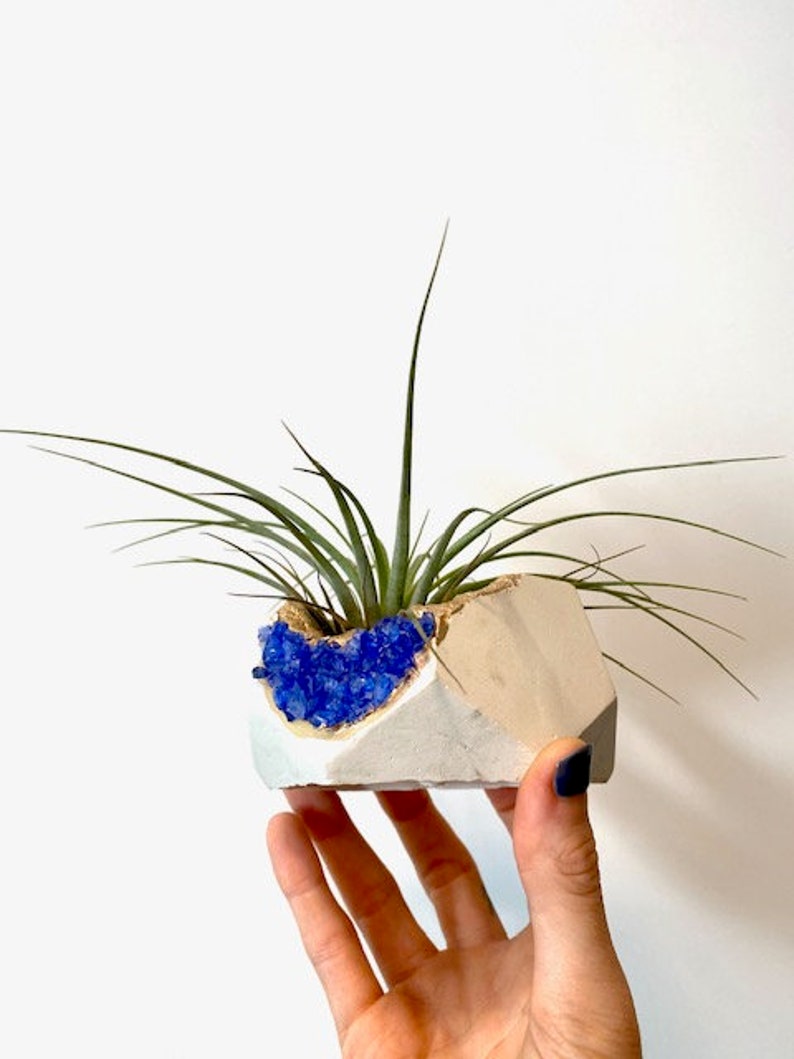 Large Crystal Pot with Air Plant Planters with Crystals Etsy