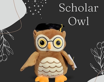 Ornement cadeau personnalisé hibou en peluche souvenir de l'obtention du diplôme 2024