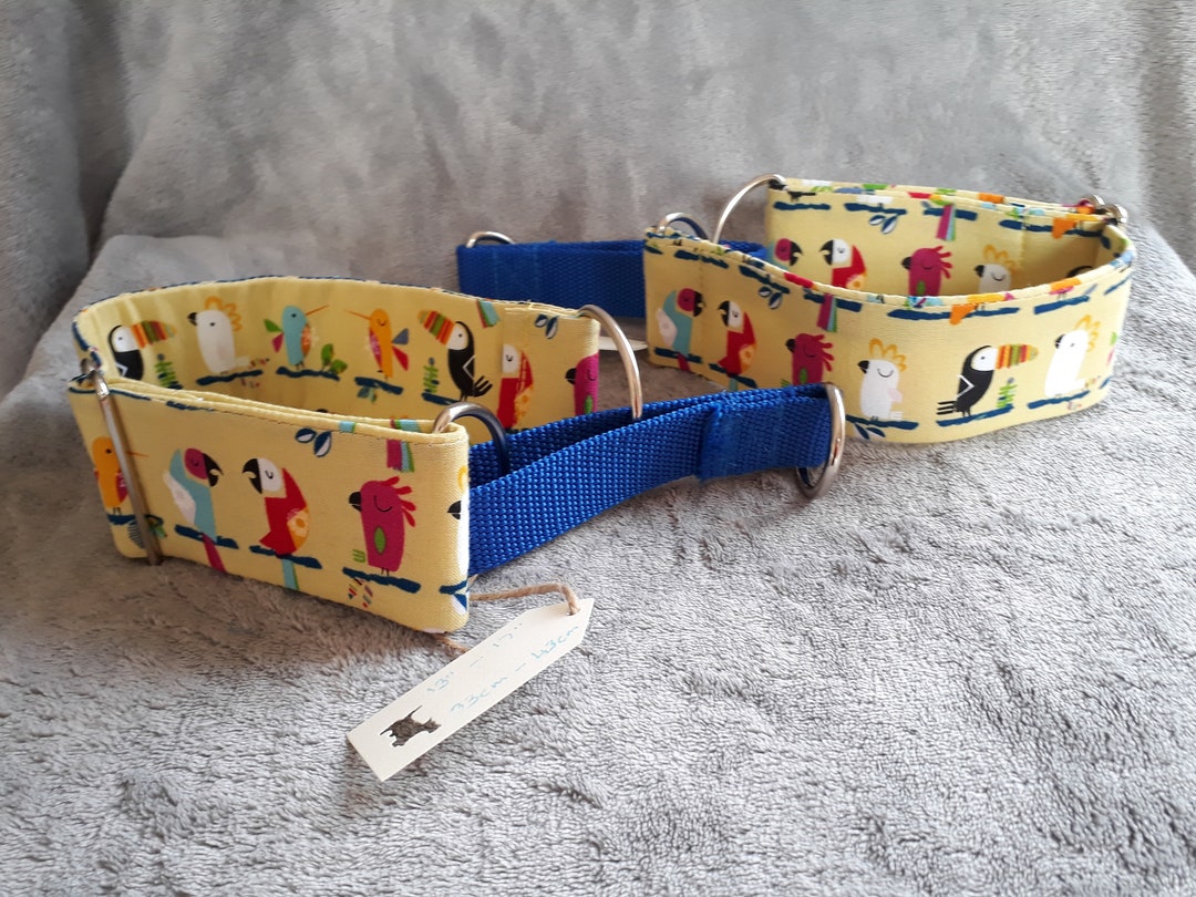 Martingale Dog Collar Suitable for Greyhounds Lurchers Etsy UK