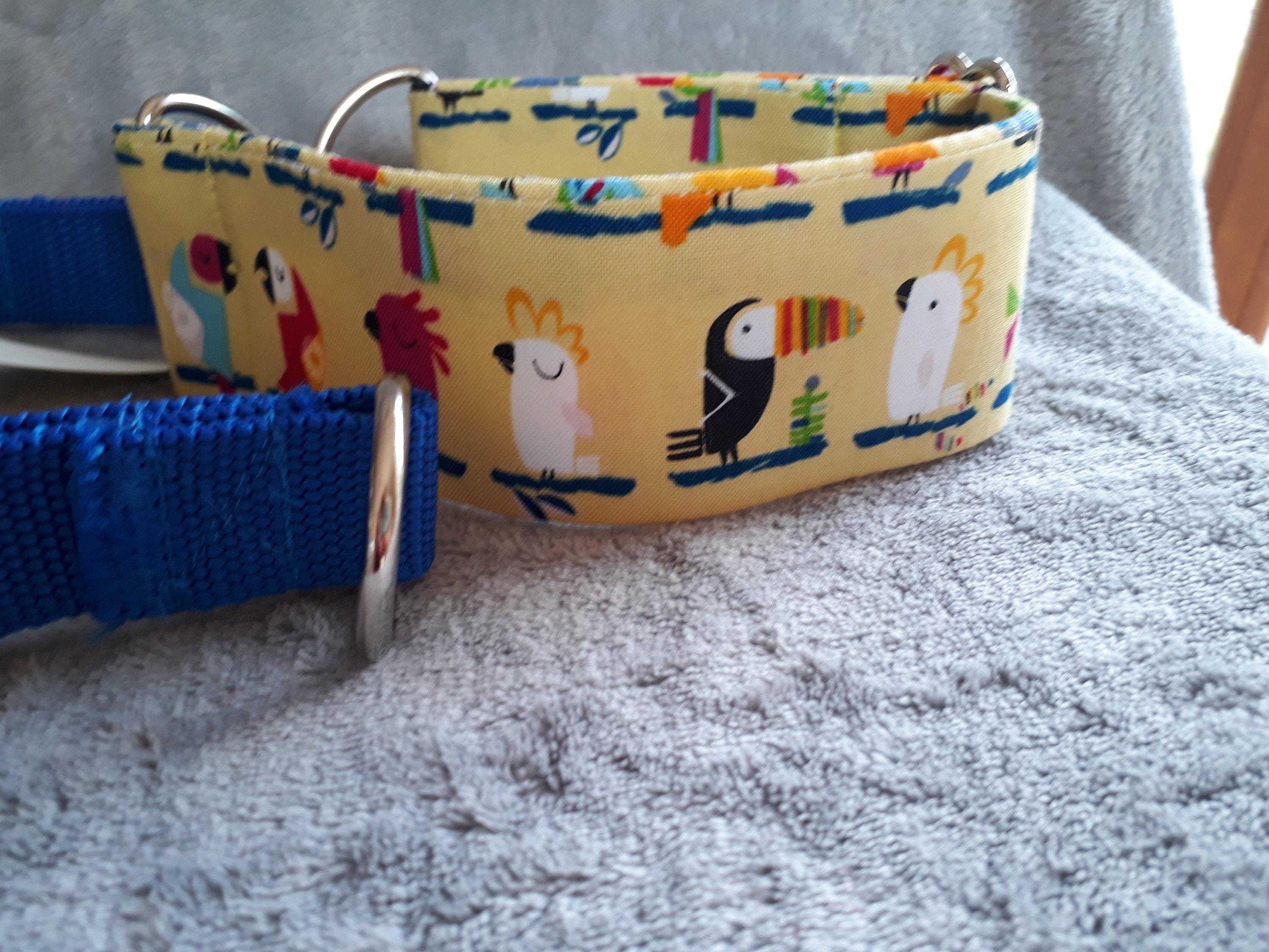 Martingale Dog Collar Suitable for Greyhounds Lurchers Etsy UK