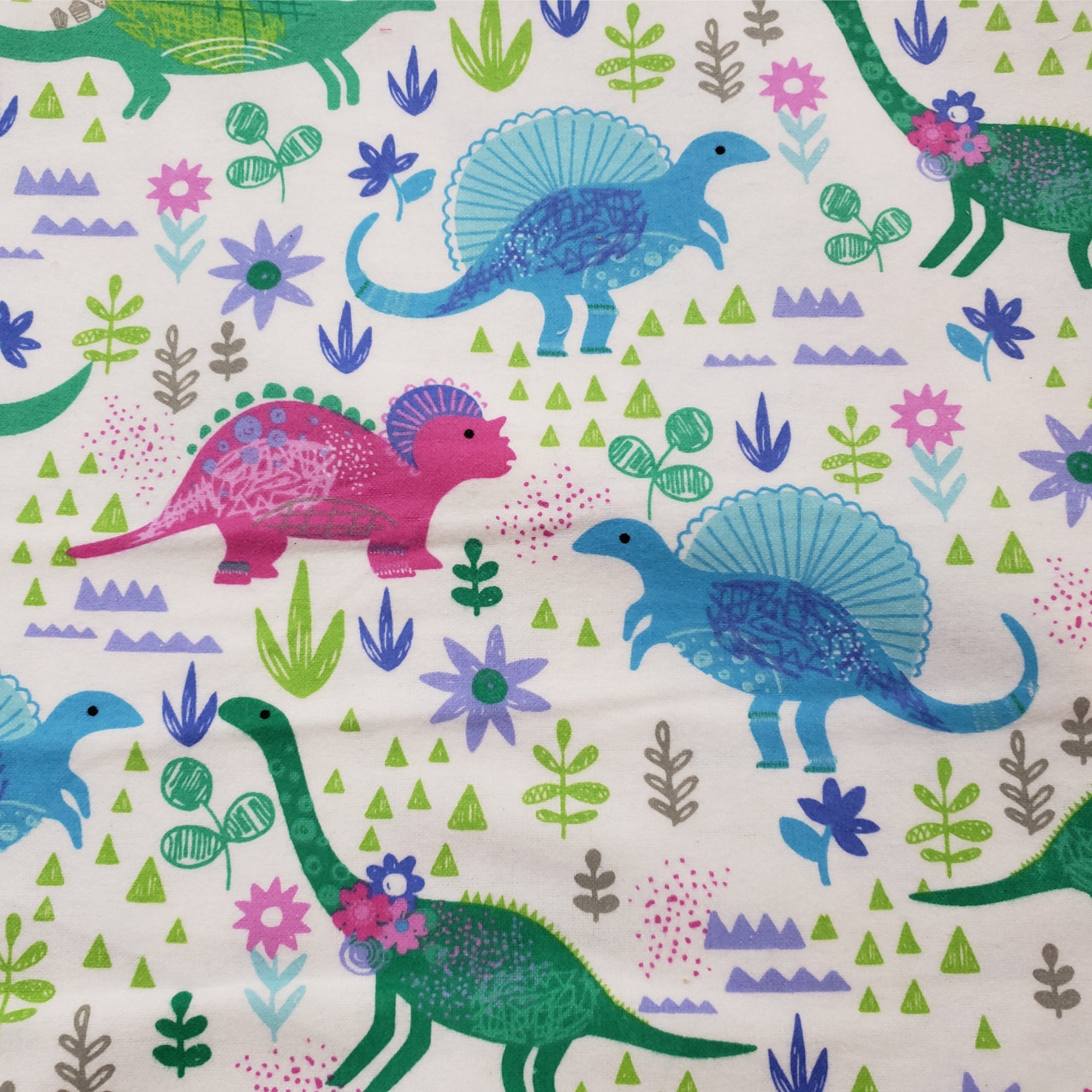 Personalized Dinosaur Baby Blanket / Girl Dinosaur Blanket Etsy