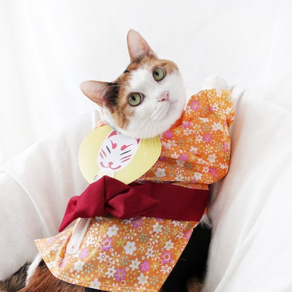 Cat Dog Japanese Orange Kimono Yukata with hand fan dress clothes shirt halloween costume miyopet