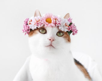 Cat Dog Pink Flower hairband headband Crown hat wedding Collar Leash, Dog flower collar Pet bows halloween costume  Miyopet