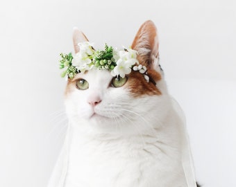 Cat Dog White Flower hairband headband Crown halloween costume hat wedding collar Pet bows gift Miyopet