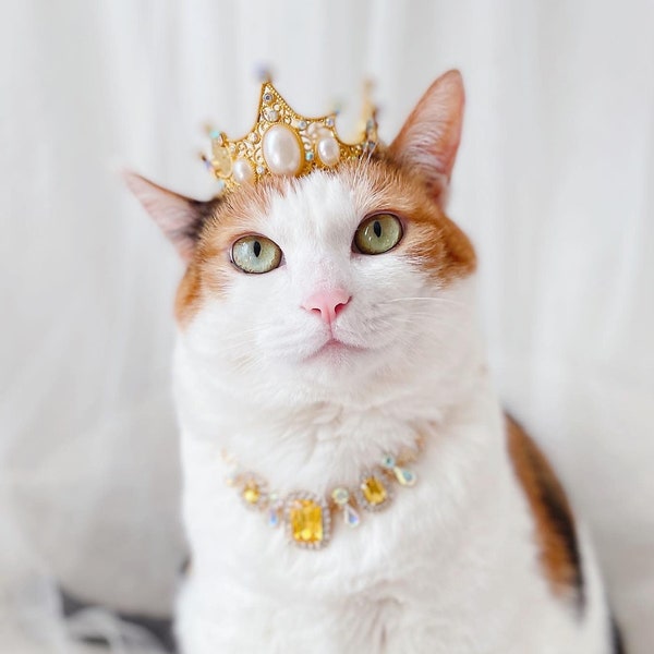 Cat Dog Gold Queen Princess Tiara Crown crystal Necklace Hat wedding halloween costume Christmas Birthday gifts for Pet Tiktok