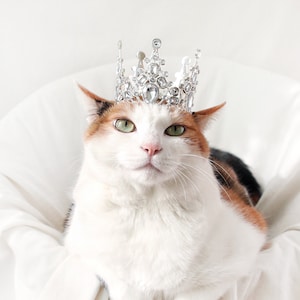 Silver Tiara Crown for Cat Dog Queen Princess hat wedding Halloween costume Christmas Birthday gift for Pet Miyopet