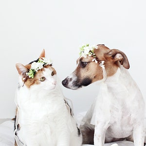 Cat Dog White Flower hairband headband Crown halloween costume image 2