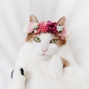 Cat Dog Cute Pink Flower  hairband headband Crown hat wedding Collar Leash Halloween costume flower collar Pet bows Purple White Miyopet