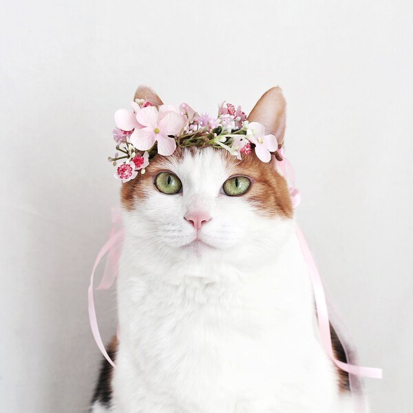 Cat Dog Pink Baby's-breath hairband headband Crown hat wedding Collar Leash flower collar Pet bows Miyopet