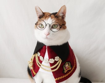 Royal Prince nobility Count Cape manteau cloths for Cat Dog halloween costume Christmas Birthday gift Photoshoot tiktok Miyopet