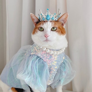 Blingbling Princess spangle dress for Pet Cat Dog costume hat necklace crown Christmas Birthday gift Photoshoot tiktok Miyopet