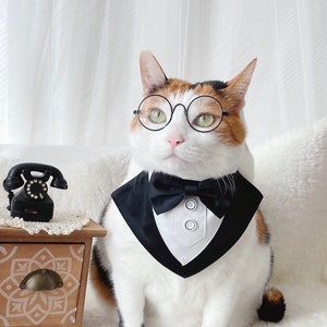 gentle man tuxedo suit bow tie neck tie neck collar scarf cape Cat Dog Pet Wedding Birthday gift Halloween costume Miyopet