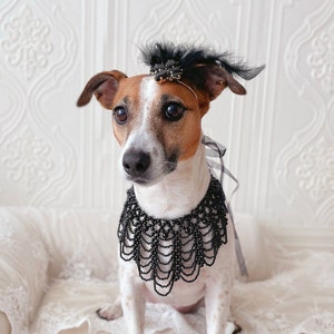 Great gatsby dog costume hotsell