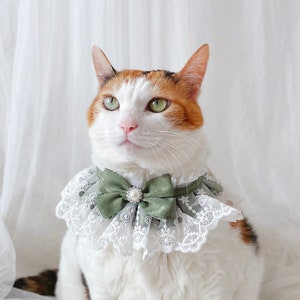 Romantic Green lace Pearl scarf collar Pet Cat Dog necklace wedding crown Halloween gift Photoshoot tiktok Miyopet