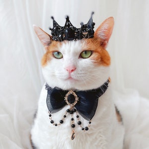 Collier ras de cou Luna noir cubique couronne diadème chat chien costume d&#39;halloween Tiktok Miyopet