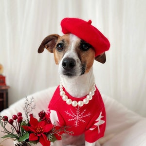 Christmas Red knit ugly sweater for Pet Cat Dog winter outfit costume hat pearl necklace glasses Birthday gift Photo shoot tiktok Miyopet