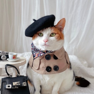 Trench coat cape Pet Cat Dog Cloths costume cloak hat Beret necklace sunglasses Halloween gift Photoshoot tiktok Miyope