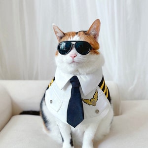 pilot Stewardess costume cape scarf Pet Cat Dog Cloths necklace Halloween funny gift Photoshoot tiktok Miyopet