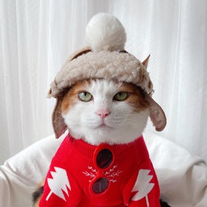 May include: A white cat wearing a brown faux fur aviator hat and a red sweater with white Christmas tree designs. The cat is wearing red sunglasses.