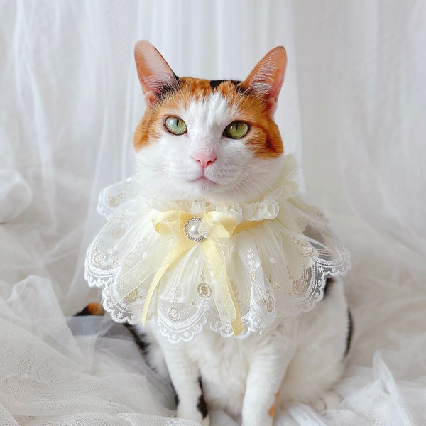 Belle Yellow lace scarf collar Pet Cat Dog necklace wedding crown Halloween gift Photoshoot tiktok Miyopet