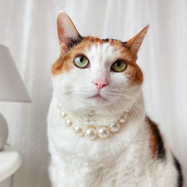 Gato perro collar de perlas regalo boda disfraz de halloween tiktok Miyopet