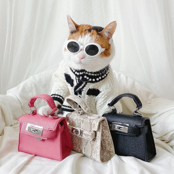 Mini Luxus Tasche Geldbörse Spielzeug für Katze Hund Haustier Kind Tücher Mode Kostüm Geschenk Geburtstag Halloween Weihnachten Tiktok Fotoshooting