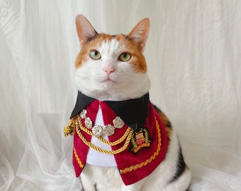 Royal Prince nobility Count Cape manteau cloths for Cat Dog halloween costume Christmas Birthday gift Photoshoot tiktok Miyopet