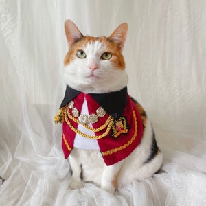 Royal Prince nobility Count Cape manteau cloths for Cat Dog halloween costume Christmas Birthday gift Photoshoot tiktok Miyopet