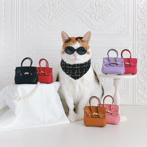 Hermes dog toy deals