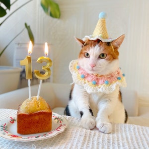 Happy Day Clown Hatscarf Set Knitted for Cat Dog Photoshoot Halloween Costume Birthday Gifts for Pet Tiktok Etsy UK