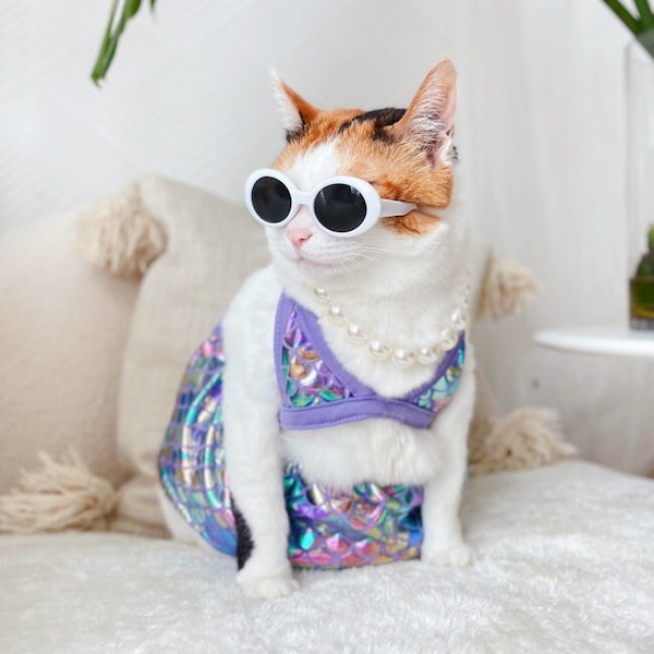 Mermaid Swimsuit Bikini Summer dress Pearl Necklace sunglasses clothes Cat Dog outfit halloween costume funny pet gift tiktok Miyopet