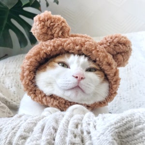Cat Dog Cute Bear hat crown costume halloween pet gift tiktok image 9