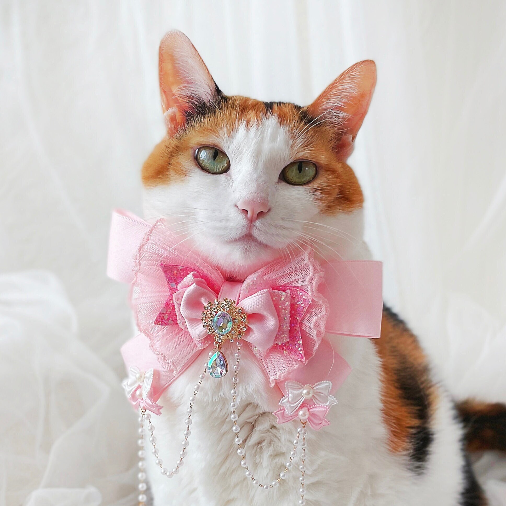 Jeweled Cat Collar Etsy