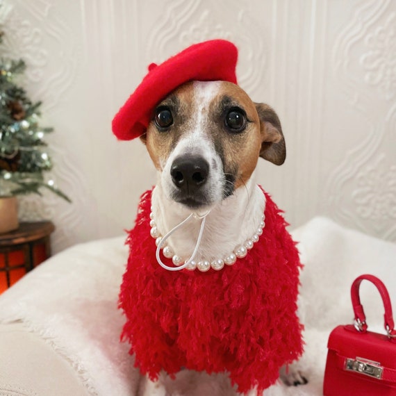 Red Fur Pet Dress: Cat Dog Costume for Photoshoot - Etsy Denmark