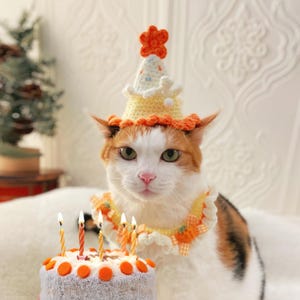 Carrot Cake Hat+Scarf Set Knitted for Cat Dog Photoshoot costume Birthday gifts for Pet Tiktok