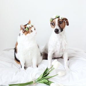 Cat Dog White Flower hairband headband Crown halloween costume image 8