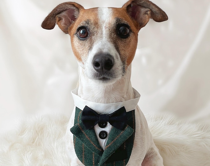 Dark Green Suit Pet Bandana Collar: Tuxedo Bow Tie
