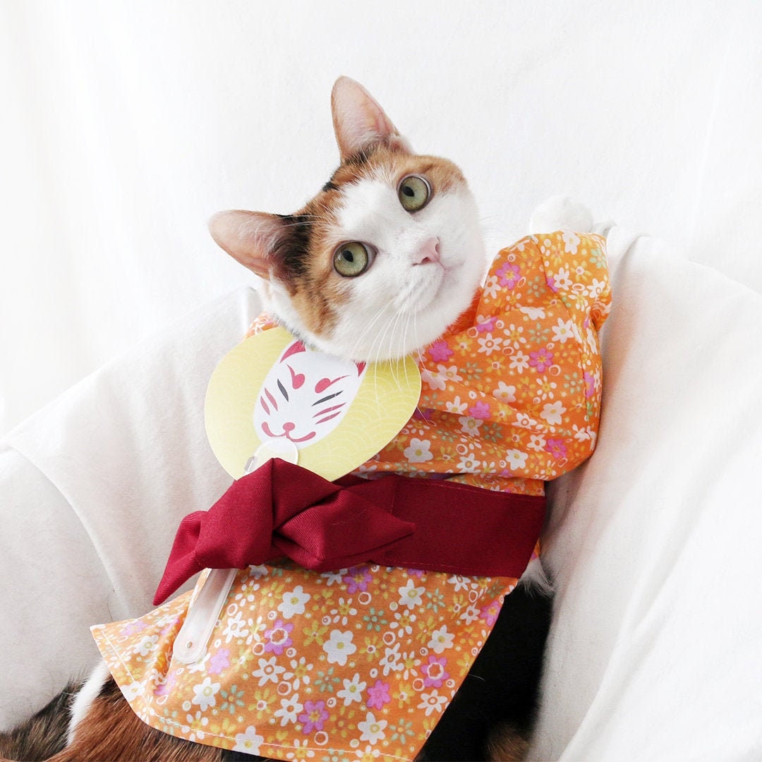 japanese cat clothes