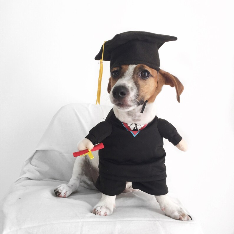 Pet Cat Dog Graduation Gown Cap Tassel Set hairband funny cute Etsy