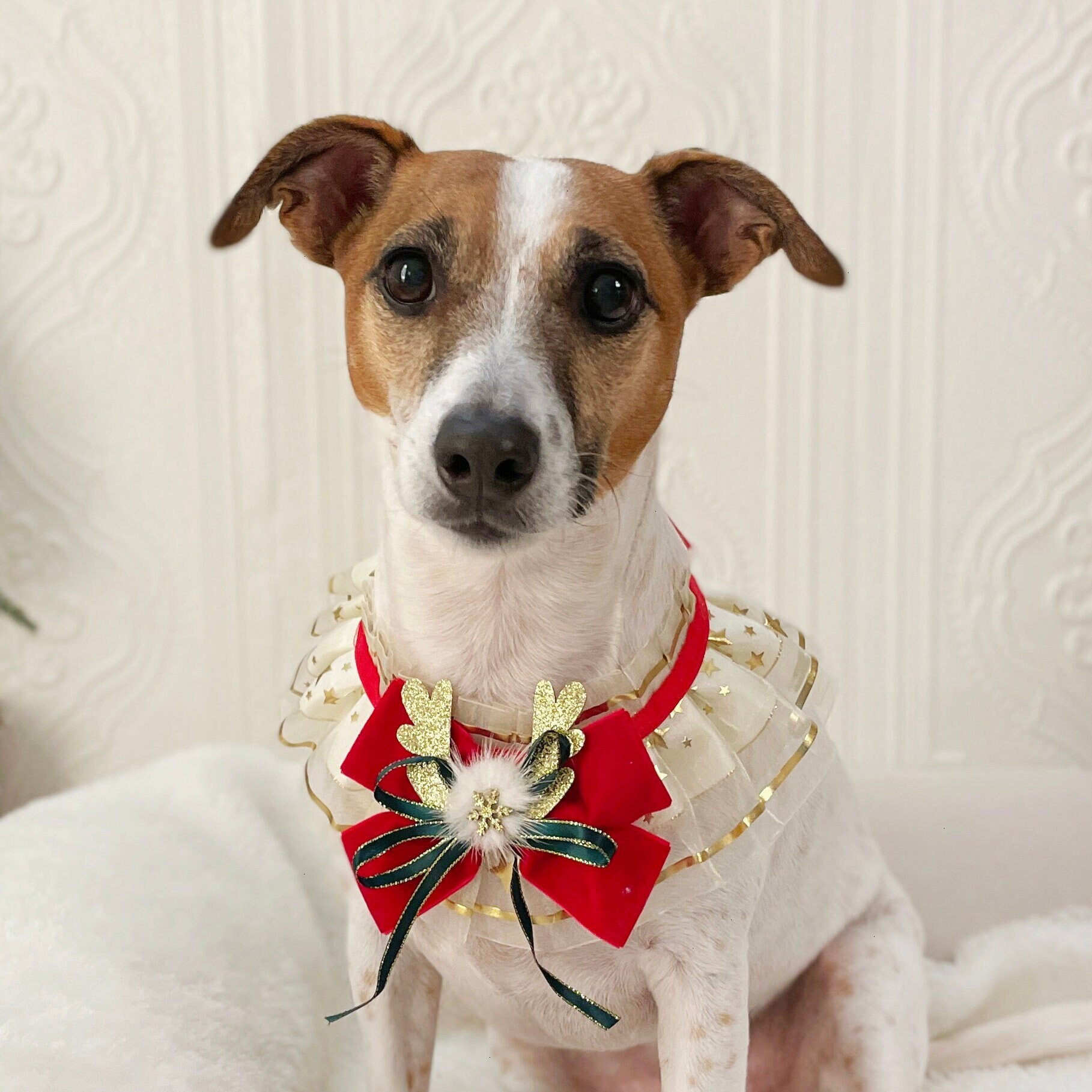 クリスマス ゴールデン スター スカーフ ケープ ネックレス ペット 猫