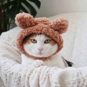 Cat Dog Cute Bear hat crown costume halloween pet gift tiktok image 5